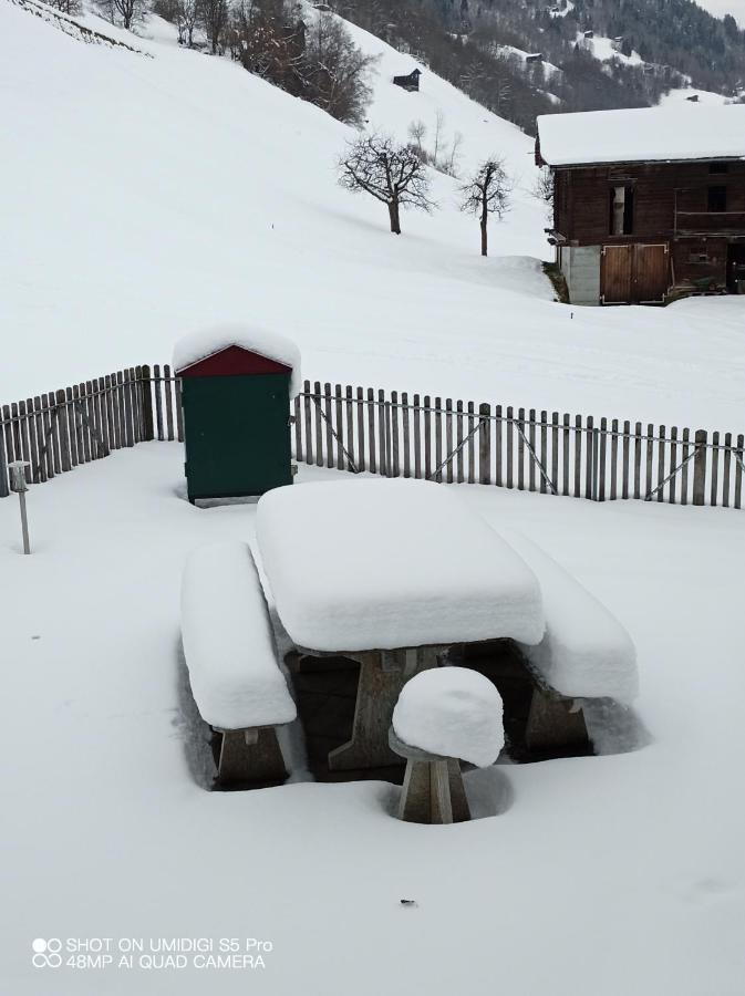 Casa Steilalva - Grosszuegiges Chalet Fuer Erholsamen Familienurlaub Surrein Kültér fotó