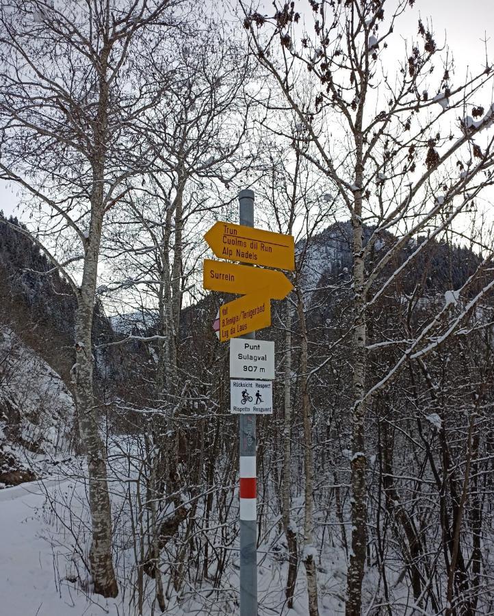 Casa Steilalva - Grosszuegiges Chalet Fuer Erholsamen Familienurlaub Surrein Kültér fotó