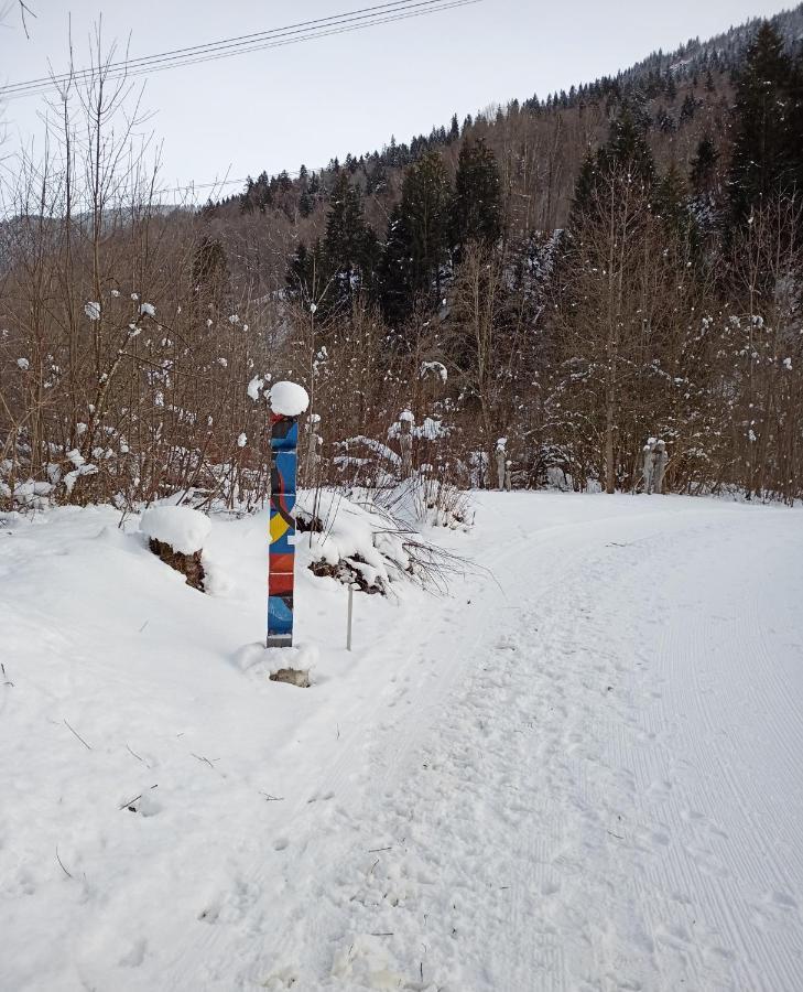 Casa Steilalva - Grosszuegiges Chalet Fuer Erholsamen Familienurlaub Surrein Kültér fotó