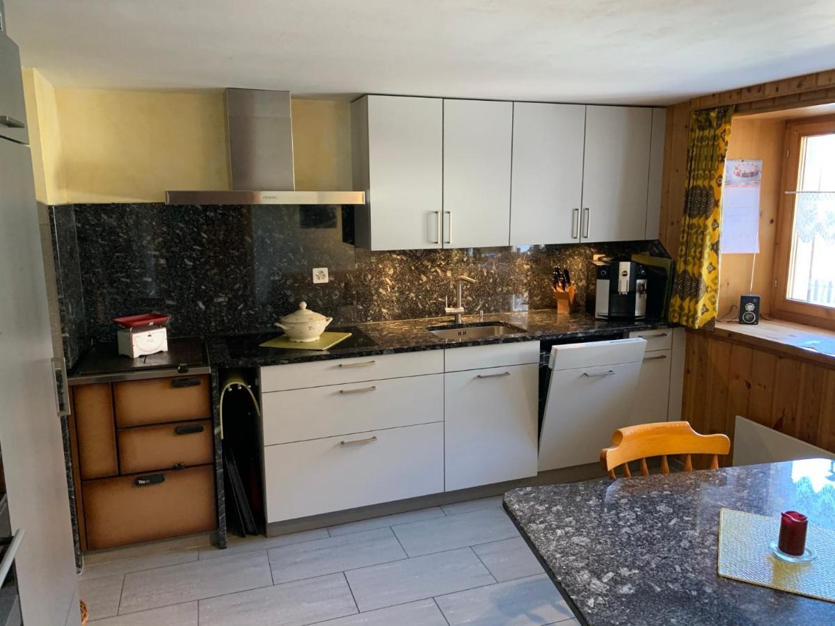 Casa Steilalva - Grosszuegiges Chalet Fuer Erholsamen Familienurlaub Surrein Kültér fotó