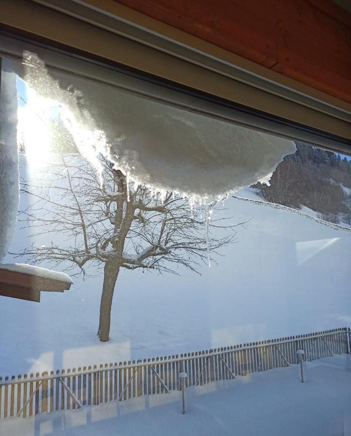 Casa Steilalva - Grosszuegiges Chalet Fuer Erholsamen Familienurlaub Surrein Kültér fotó