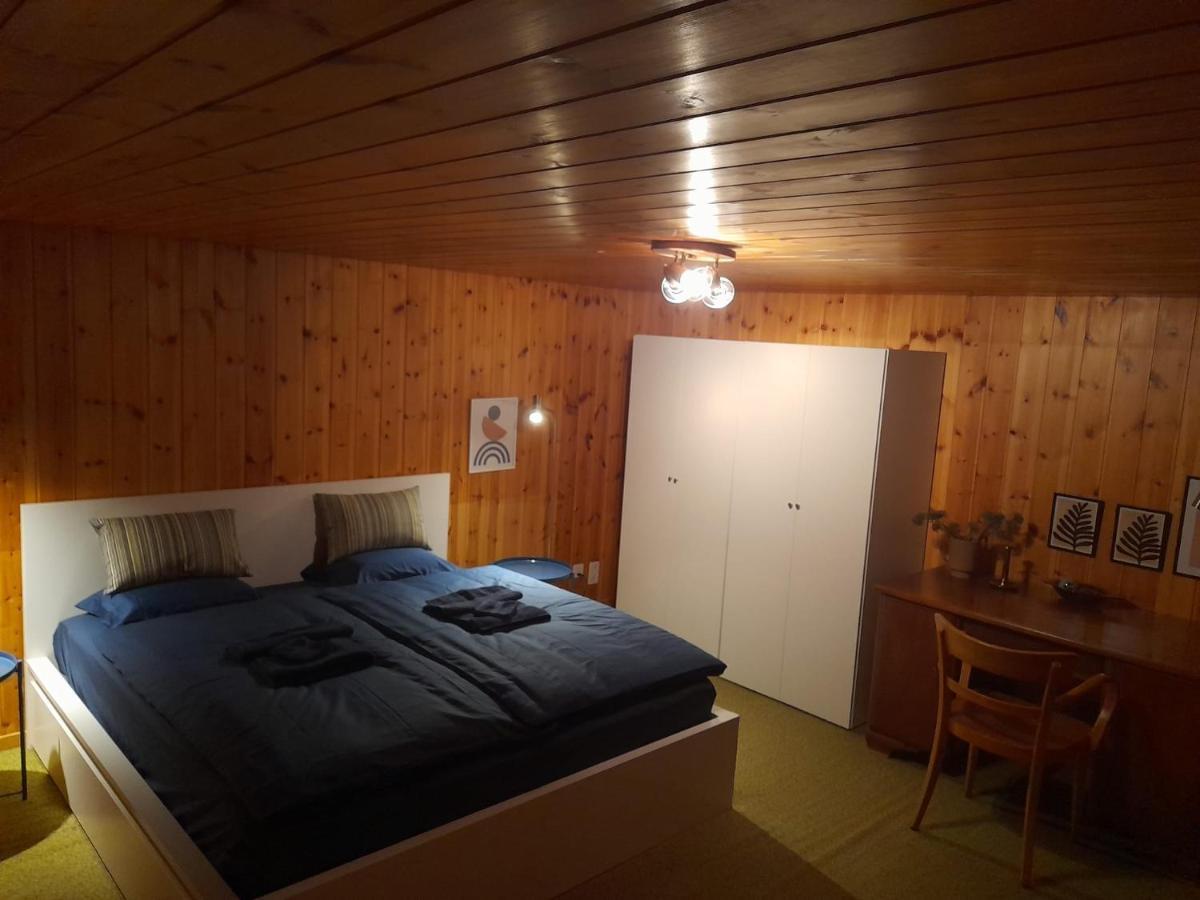 Casa Steilalva - Grosszuegiges Chalet Fuer Erholsamen Familienurlaub Surrein Kültér fotó